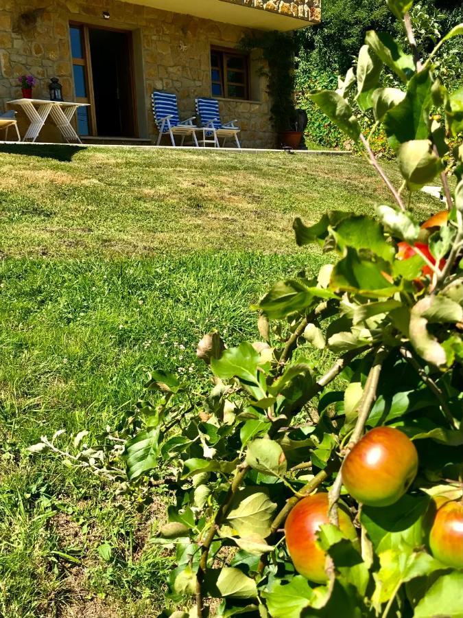Loft 80 Mts En Un Entorno Natural. Mieres  Esterno foto